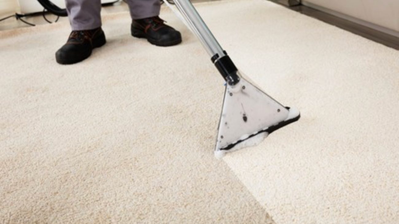 Zimick Bros. carpet cleaning technician using a hot-water extraction wand to lift dirt from a light beige commercial carpet, revealing a clean stripe